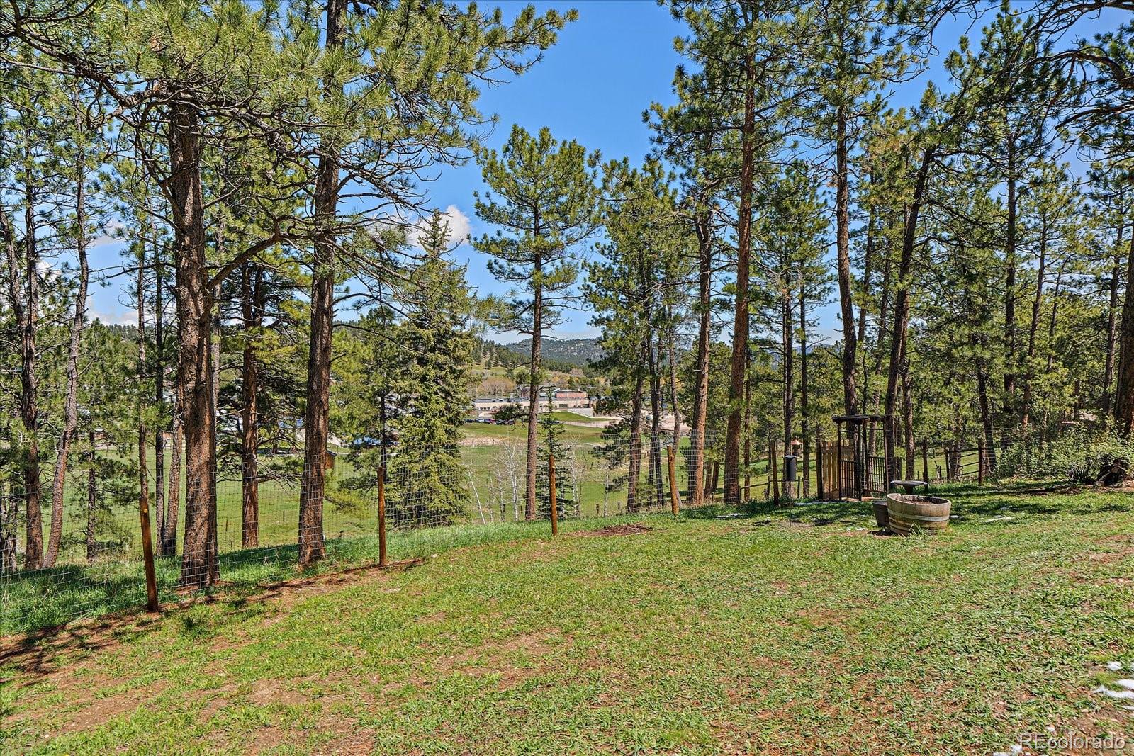 MLS Image #26 for 29827  gigi road,evergreen, Colorado