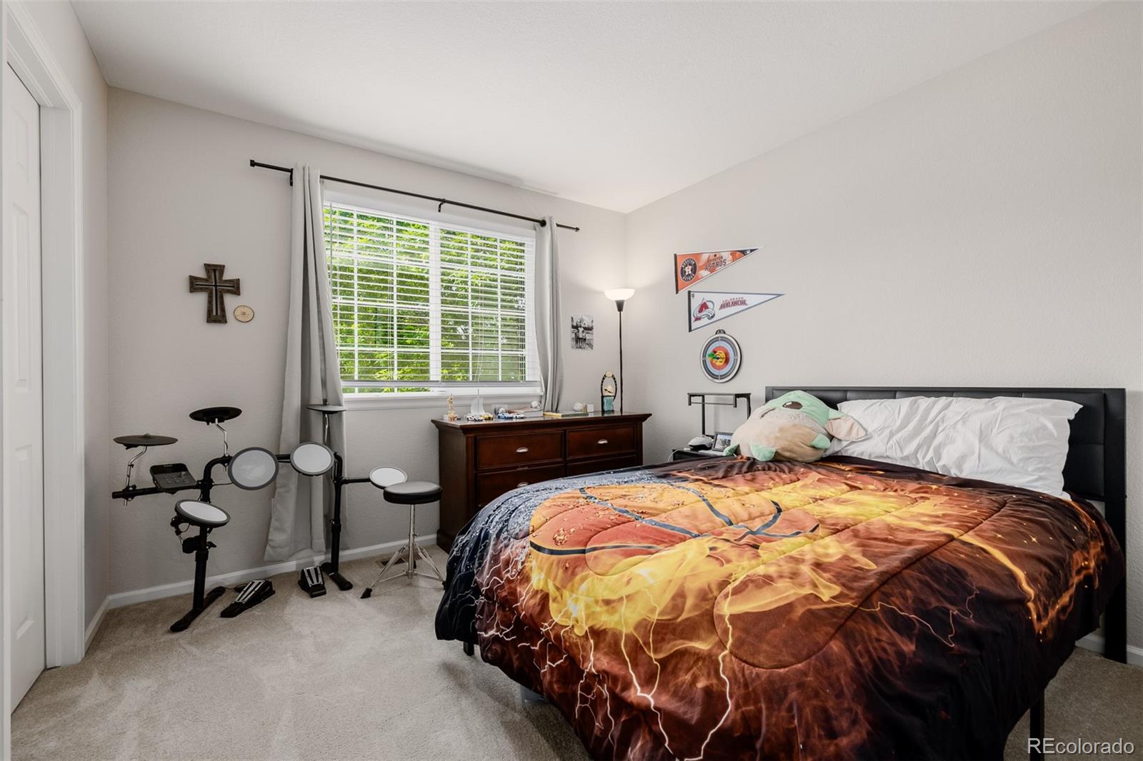 MLS Image #27 for 527  english sparrow trail,highlands ranch, Colorado