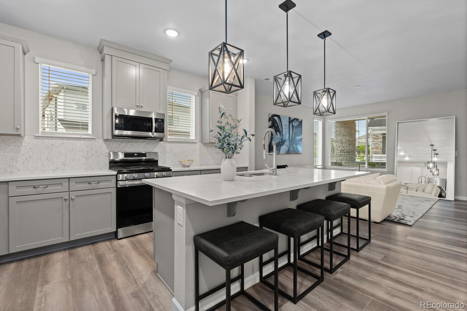 MLS Image #11 for 16421  askins loop,parker, Colorado