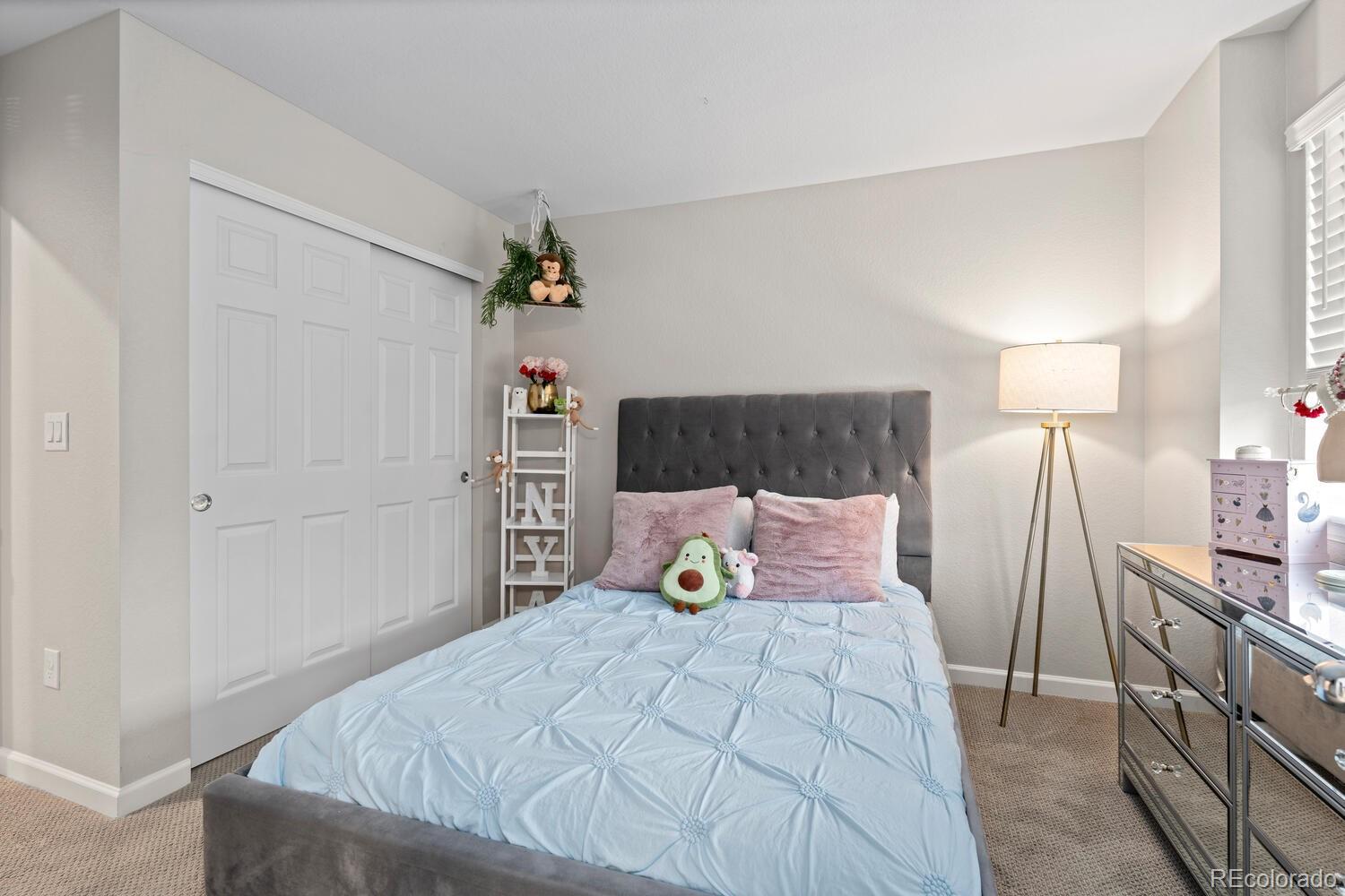 MLS Image #30 for 16421  askins loop,parker, Colorado