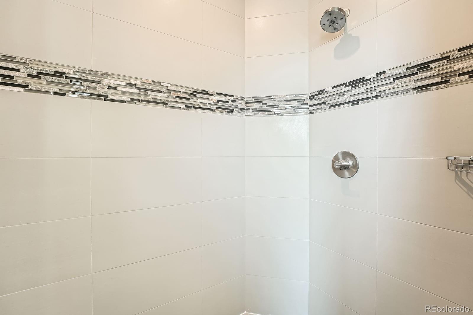 MLS Image #20 for 701 e 24th avenue,denver, Colorado