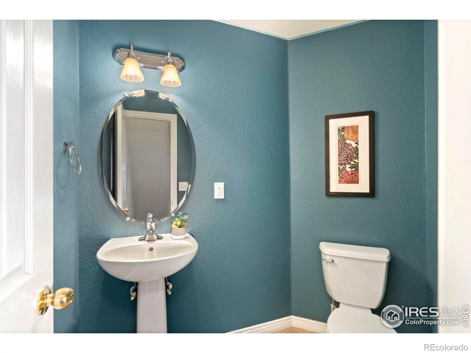 MLS Image #10 for 1014  andrews peak drive,fort collins, Colorado