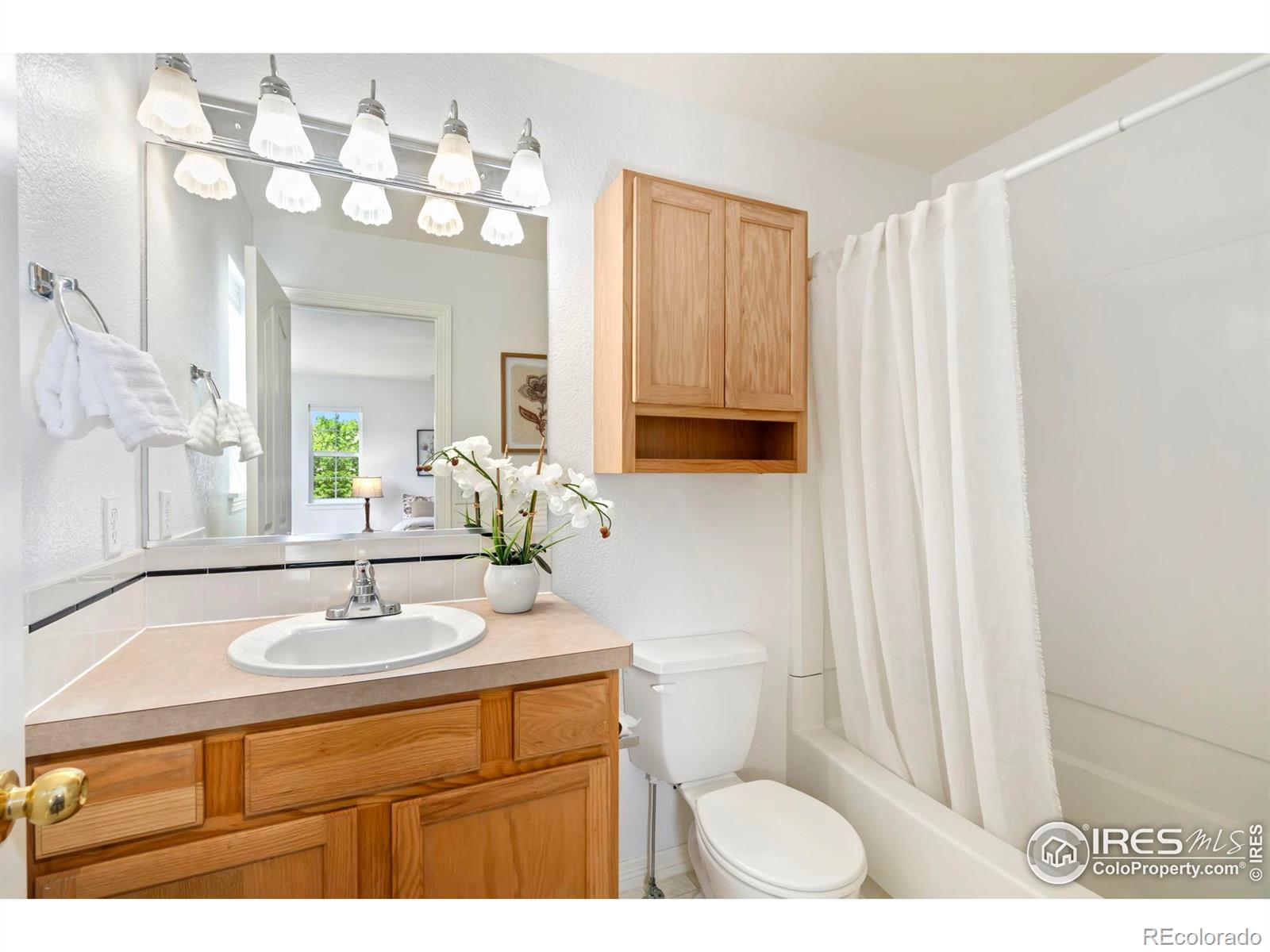 MLS Image #13 for 1014  andrews peak drive,fort collins, Colorado