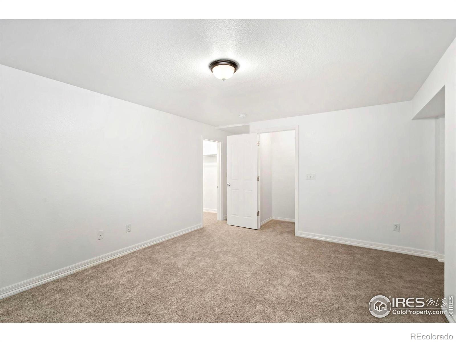 MLS Image #18 for 1014  andrews peak drive,fort collins, Colorado