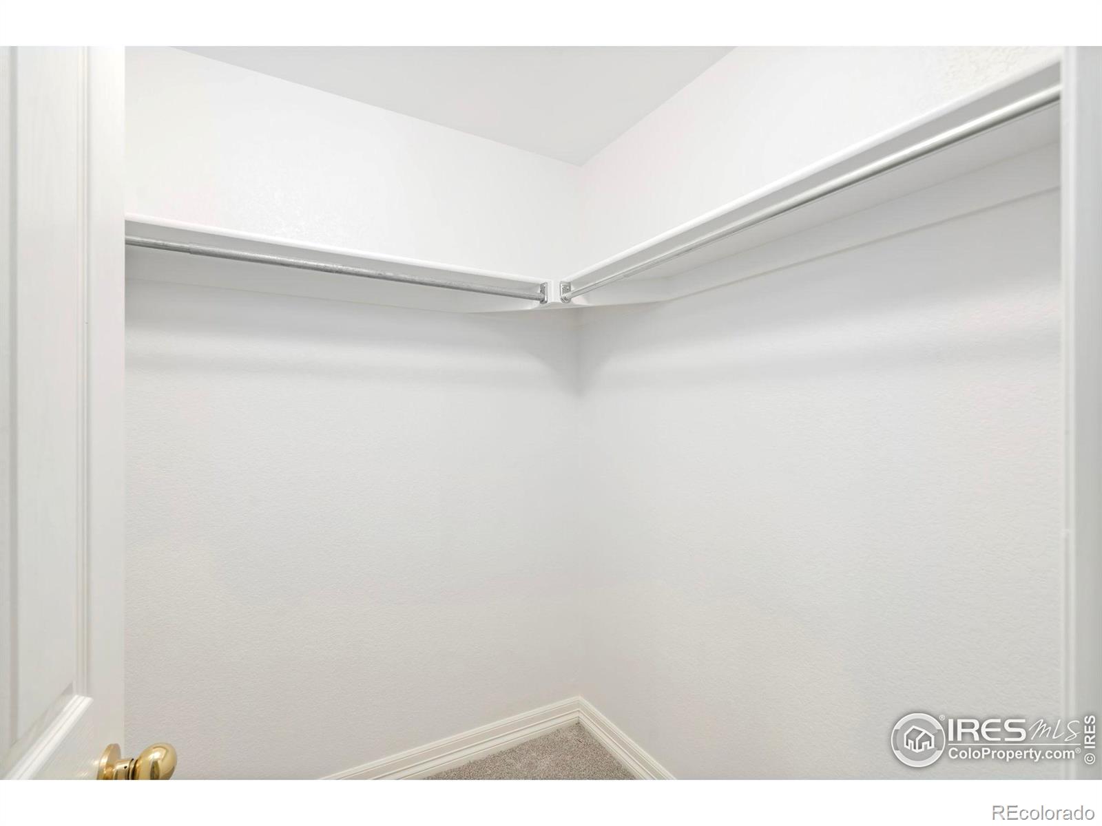 MLS Image #19 for 1014  andrews peak drive,fort collins, Colorado