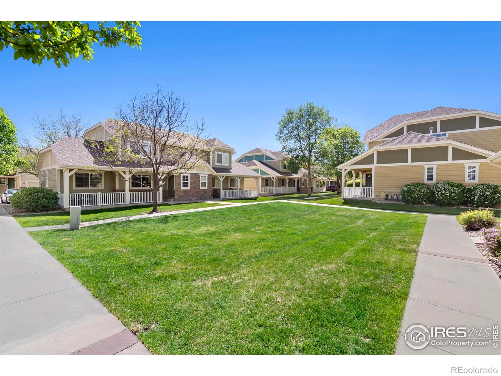 MLS Image #4 for 1014  andrews peak drive,fort collins, Colorado