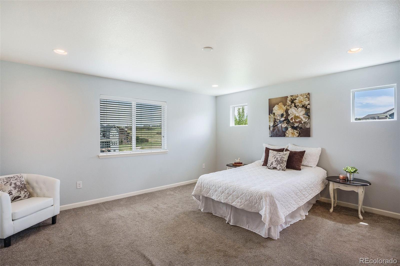 MLS Image #10 for 1018  mcmurdo circle,castle rock, Colorado