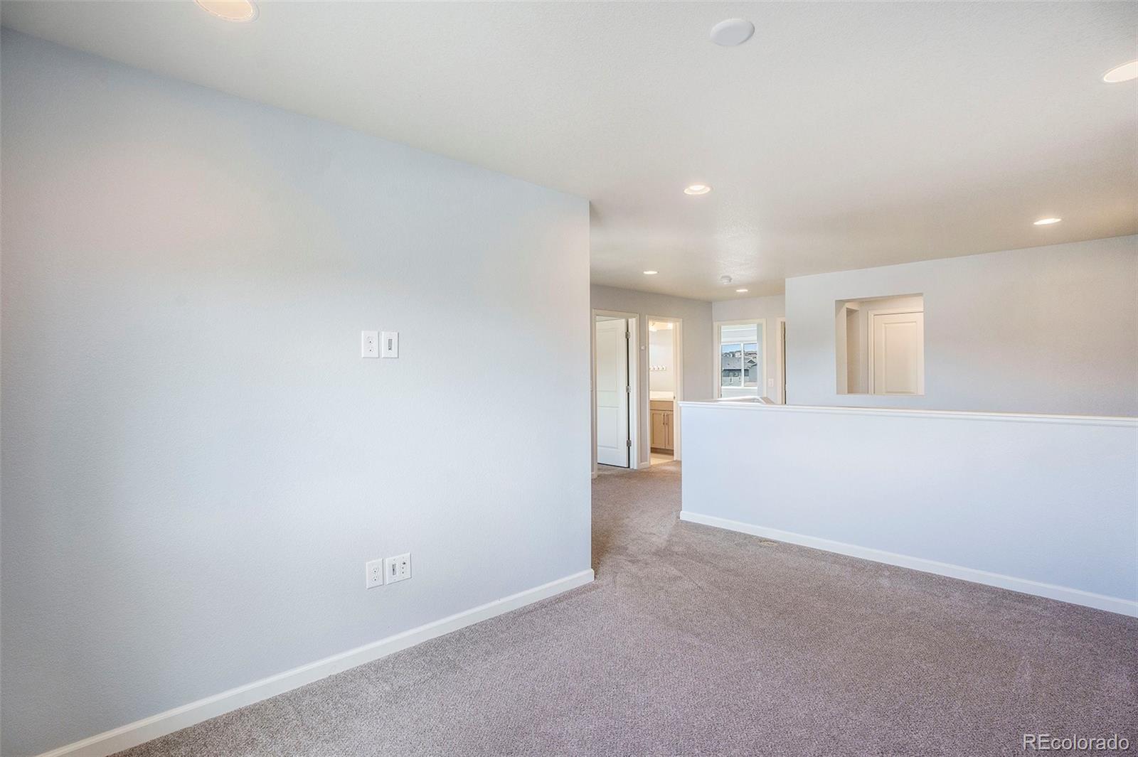 MLS Image #14 for 1018  mcmurdo circle,castle rock, Colorado