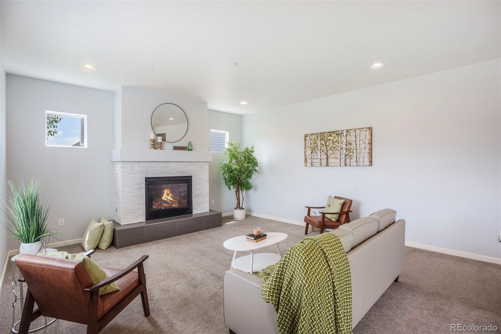 MLS Image #3 for 1018  mcmurdo circle,castle rock, Colorado
