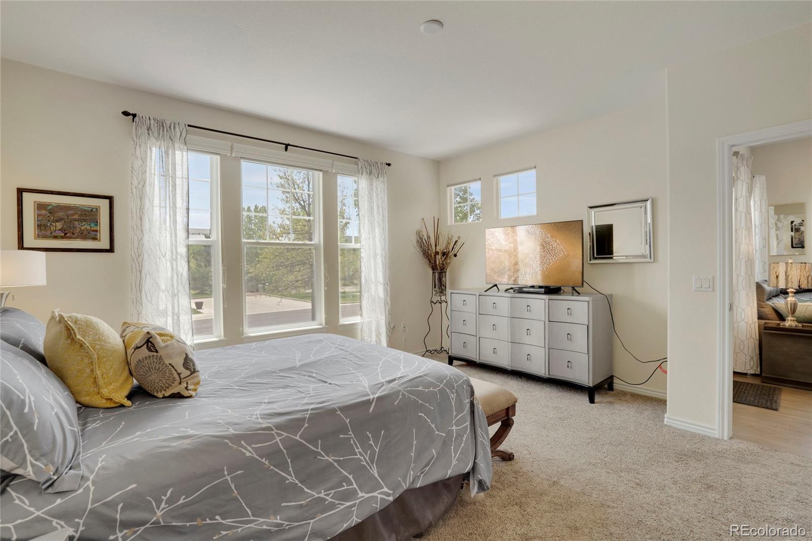 MLS Image #14 for 12348 w gould avenue,littleton, Colorado