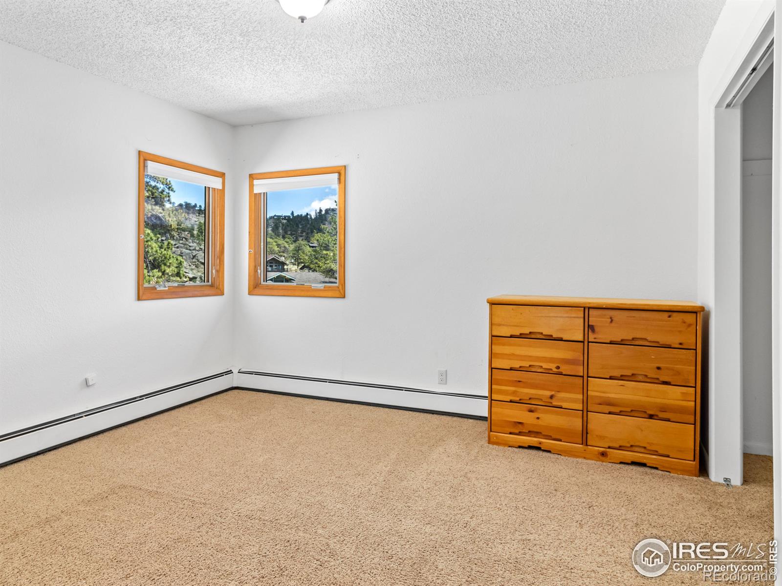 MLS Image #19 for 739  larkspur road,estes park, Colorado