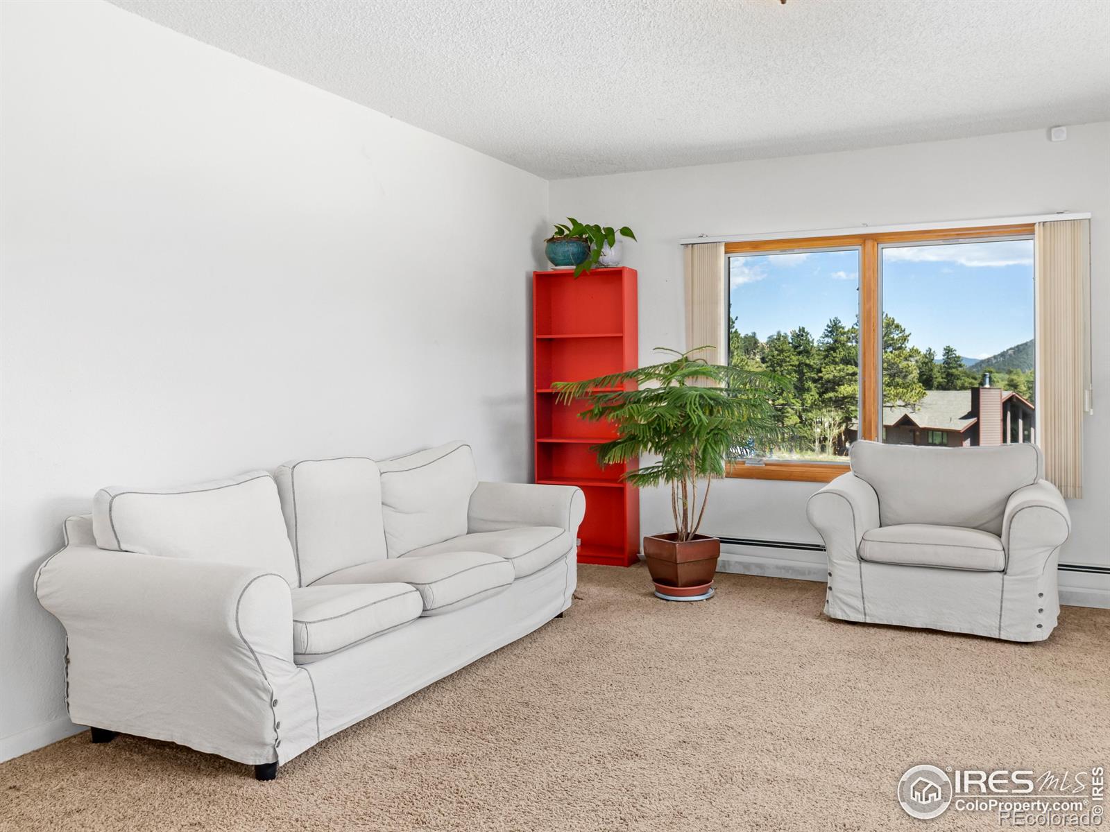 MLS Image #5 for 739  larkspur road,estes park, Colorado