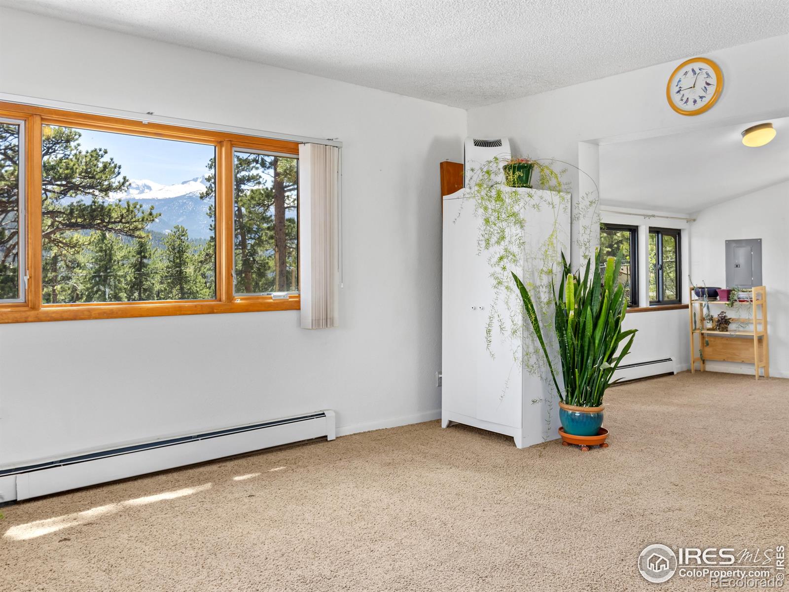 MLS Image #7 for 739  larkspur road,estes park, Colorado