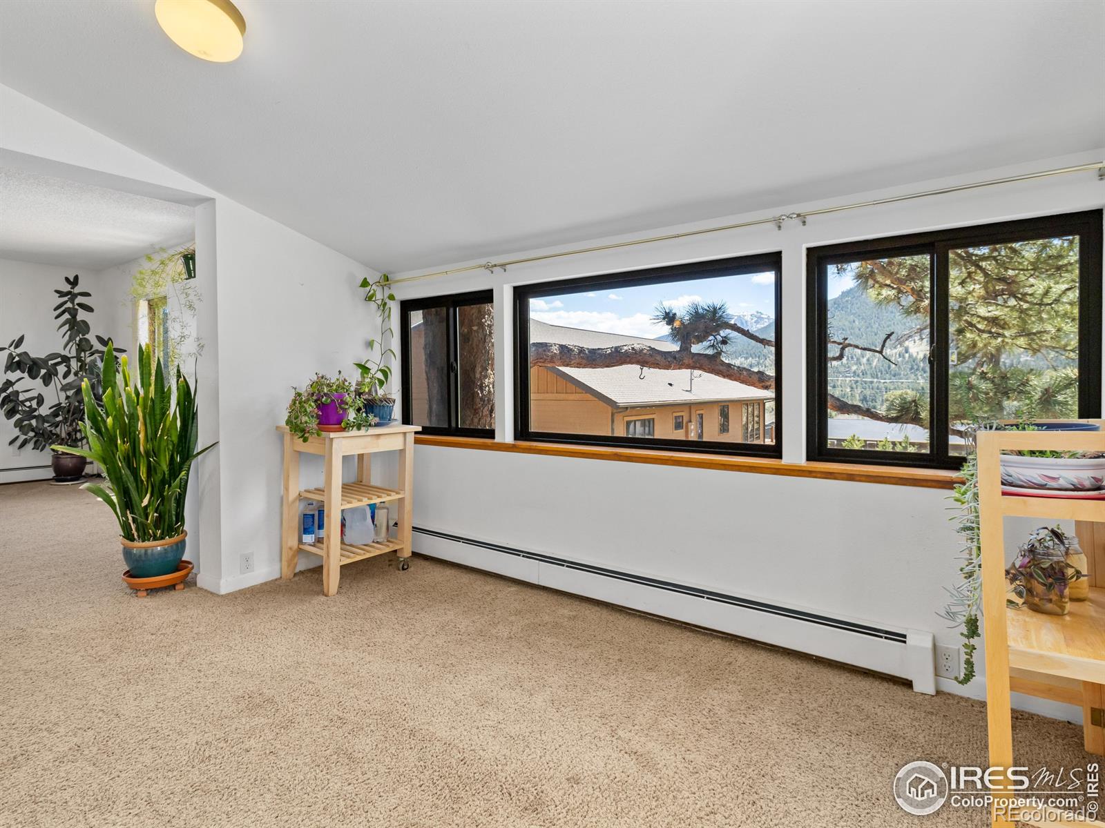 MLS Image #8 for 739  larkspur road,estes park, Colorado