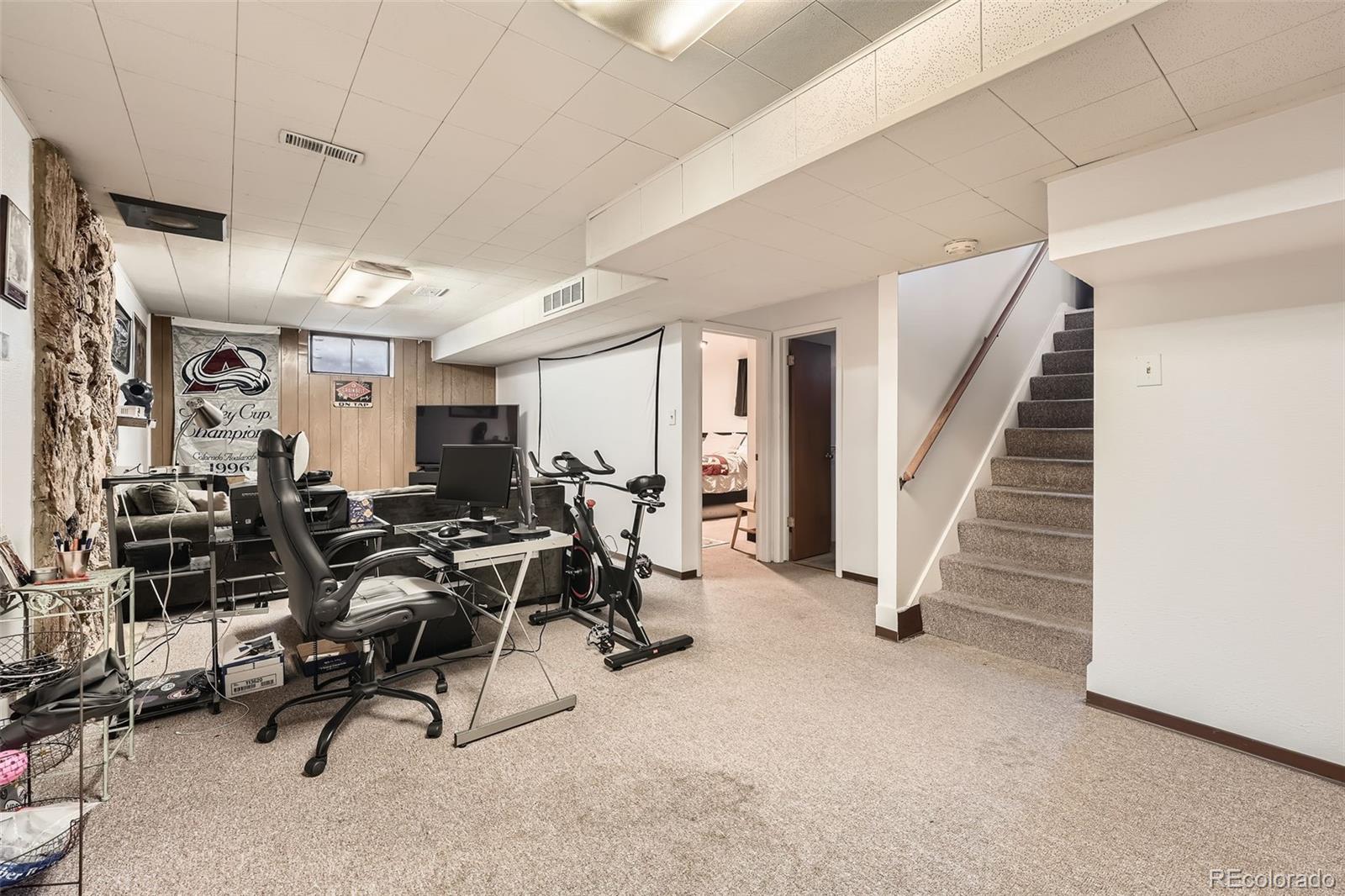 MLS Image #18 for 7060  avrum drive,denver, Colorado