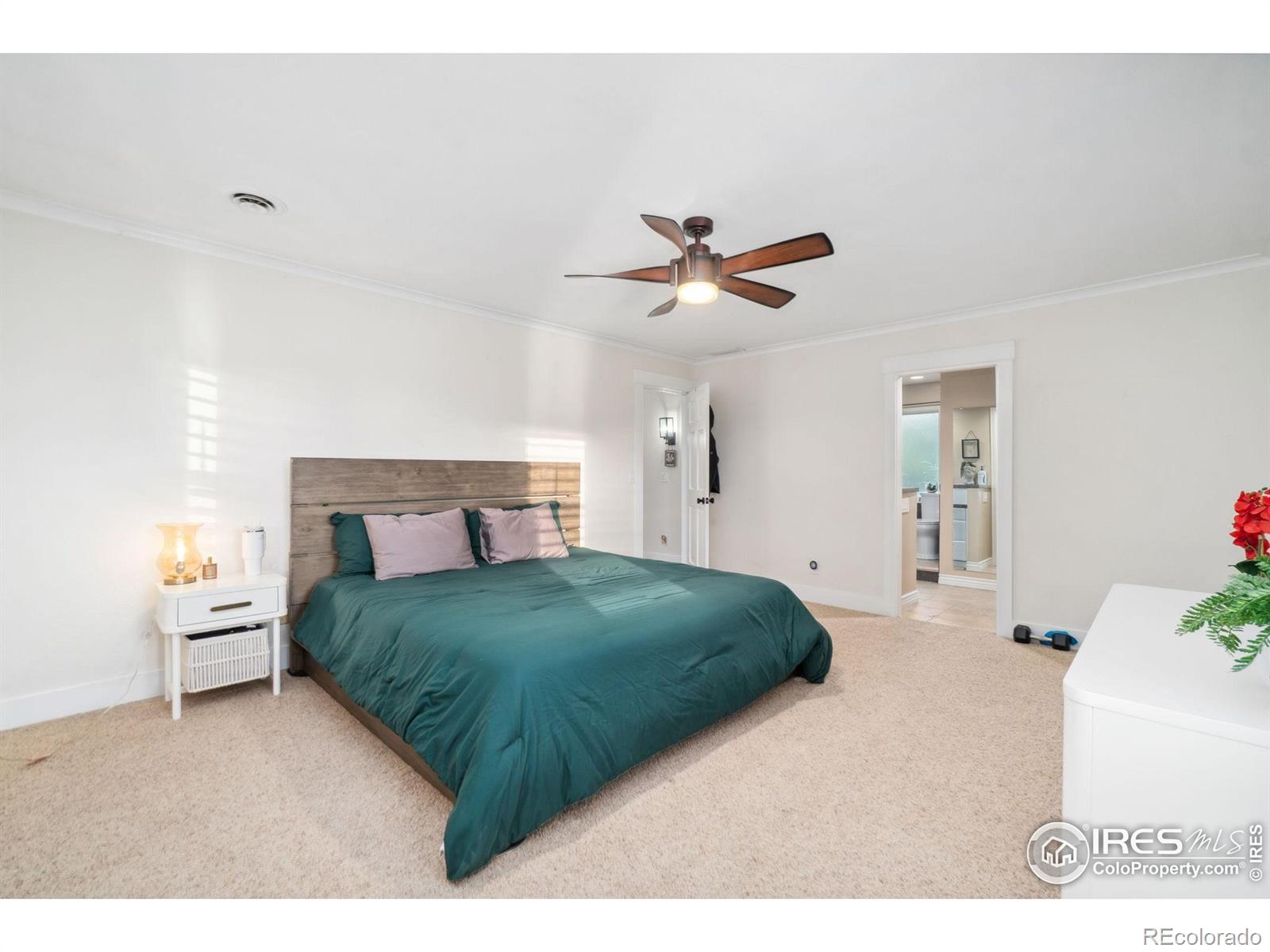 MLS Image #16 for 3804  whitebark place,loveland, Colorado