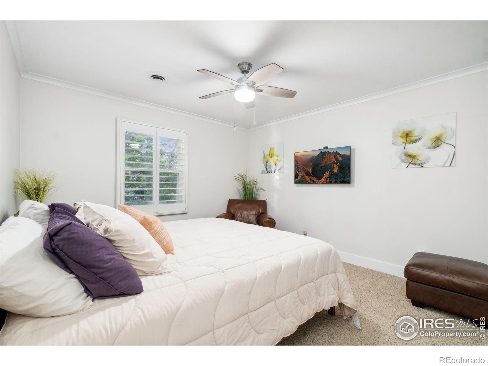 MLS Image #19 for 3804  whitebark place,loveland, Colorado