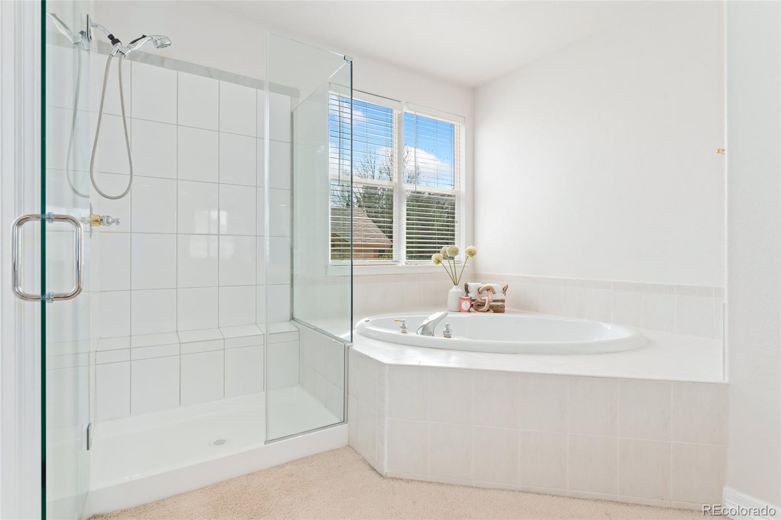 MLS Image #24 for 534  stonemont drive,castle pines, Colorado