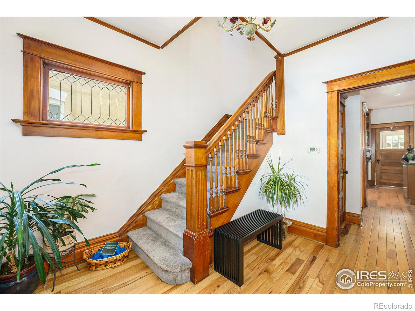 MLS Image #16 for 486 n corona street,denver, Colorado