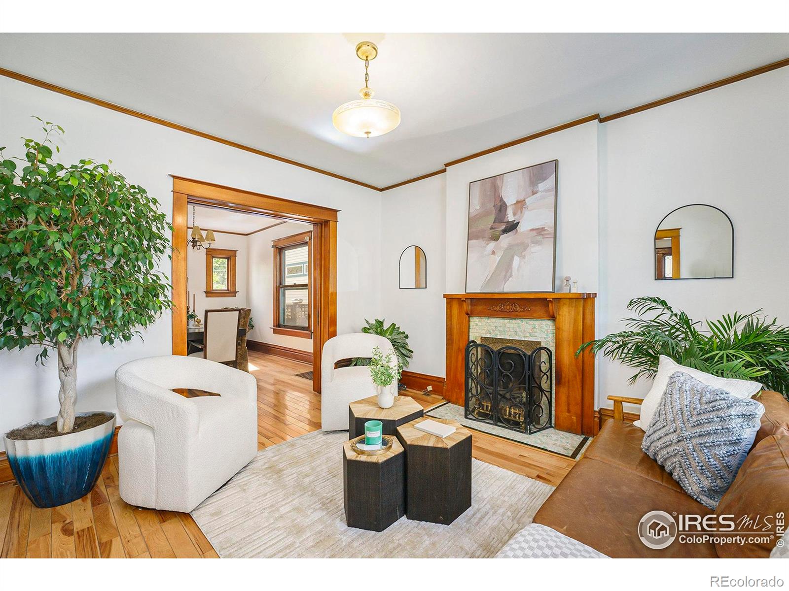 MLS Image #4 for 486 n corona street,denver, Colorado