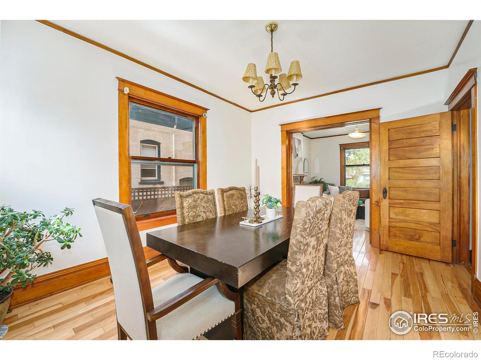 MLS Image #8 for 486 n corona street,denver, Colorado