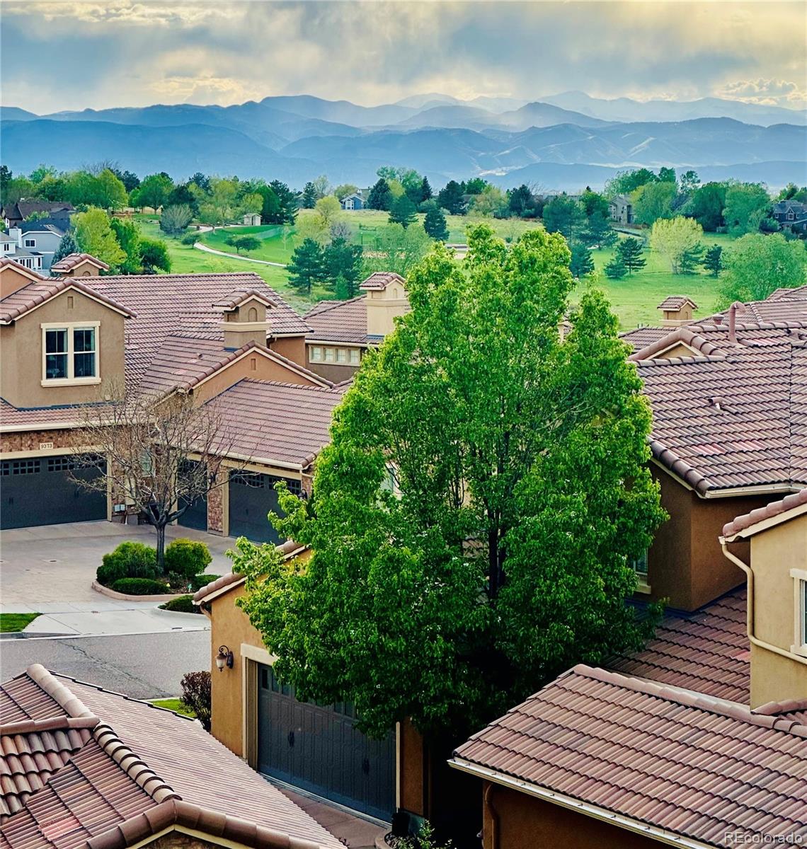 MLS Image #13 for 9351  viaggio way ,highlands ranch, Colorado