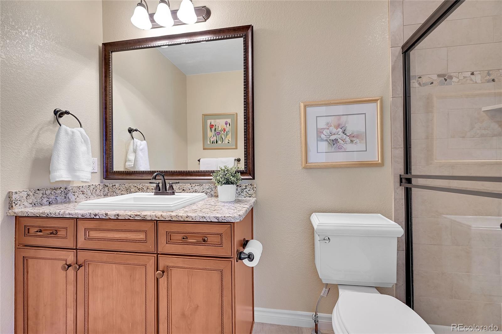 MLS Image #21 for 9351  viaggio way ,highlands ranch, Colorado