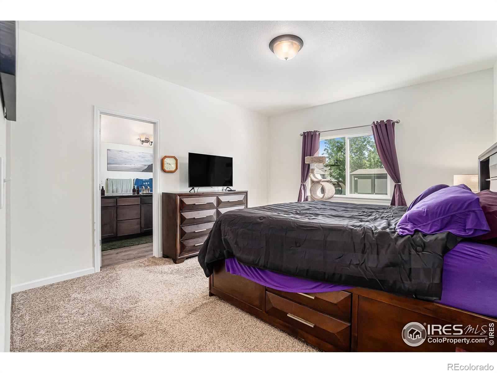 MLS Image #10 for 752  settlers drive,milliken, Colorado