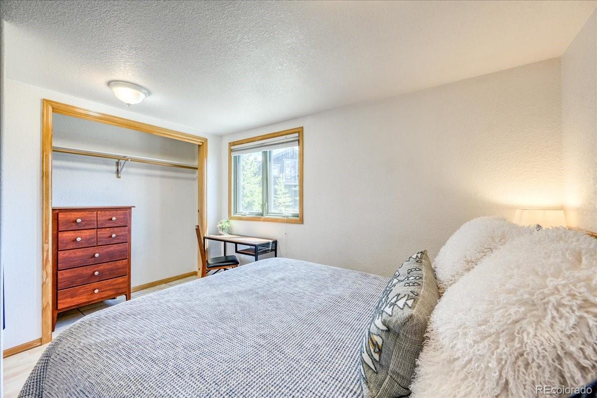 MLS Image #21 for 38  d road,silverthorne, Colorado