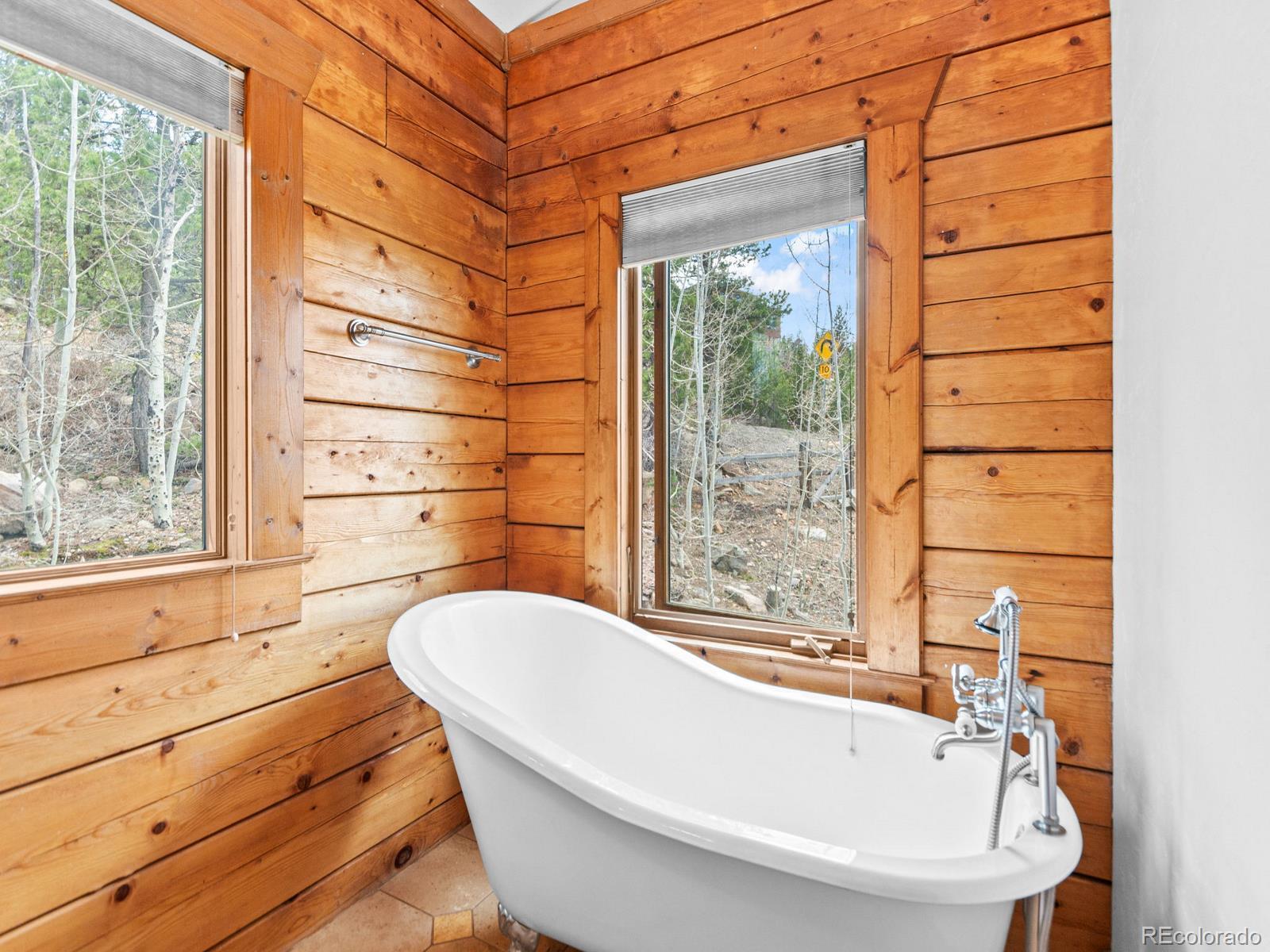 MLS Image #13 for 11766  coal creek heights drive,golden, Colorado