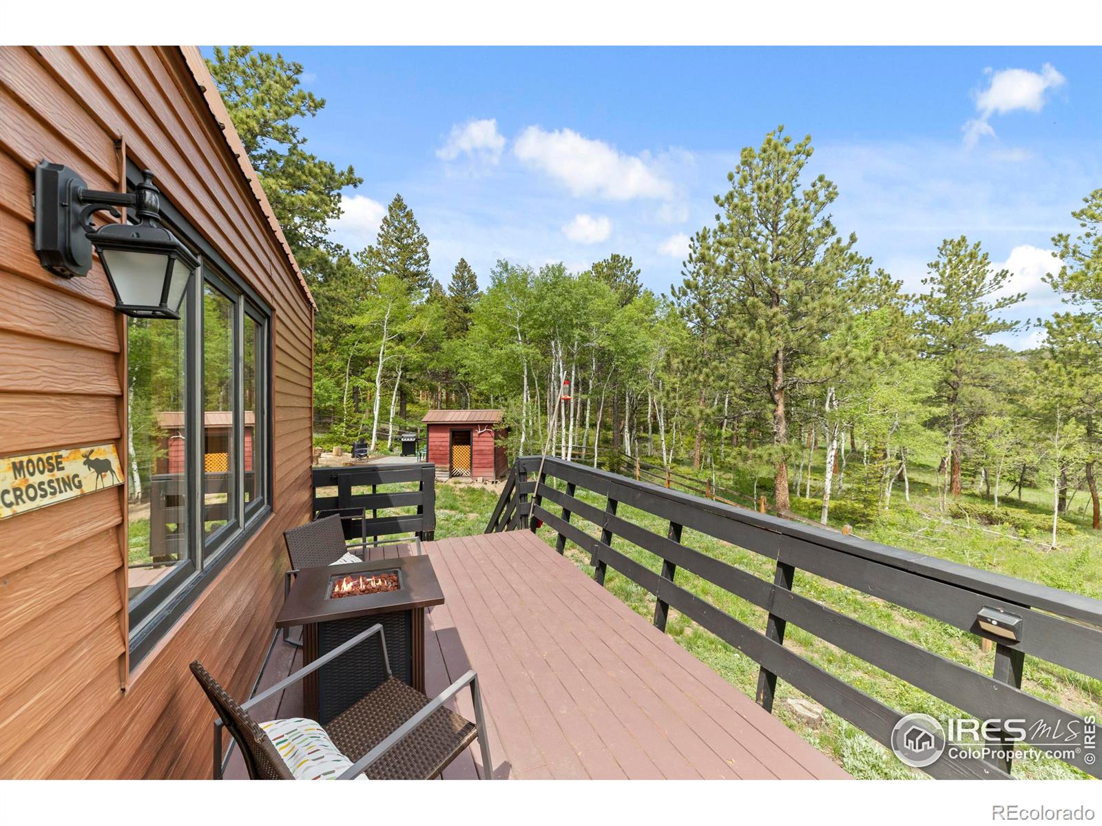 MLS Image #24 for 133  rockledge circle,allenspark, Colorado