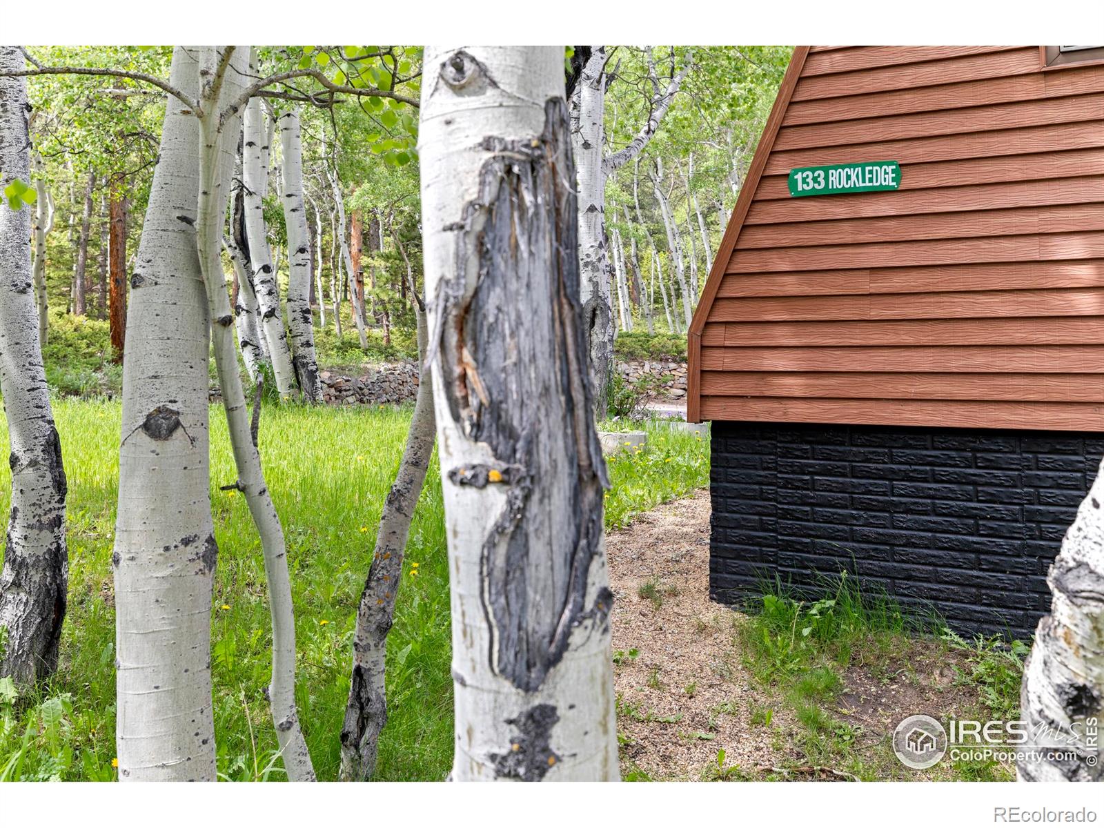 MLS Image #27 for 133  rockledge circle,allenspark, Colorado
