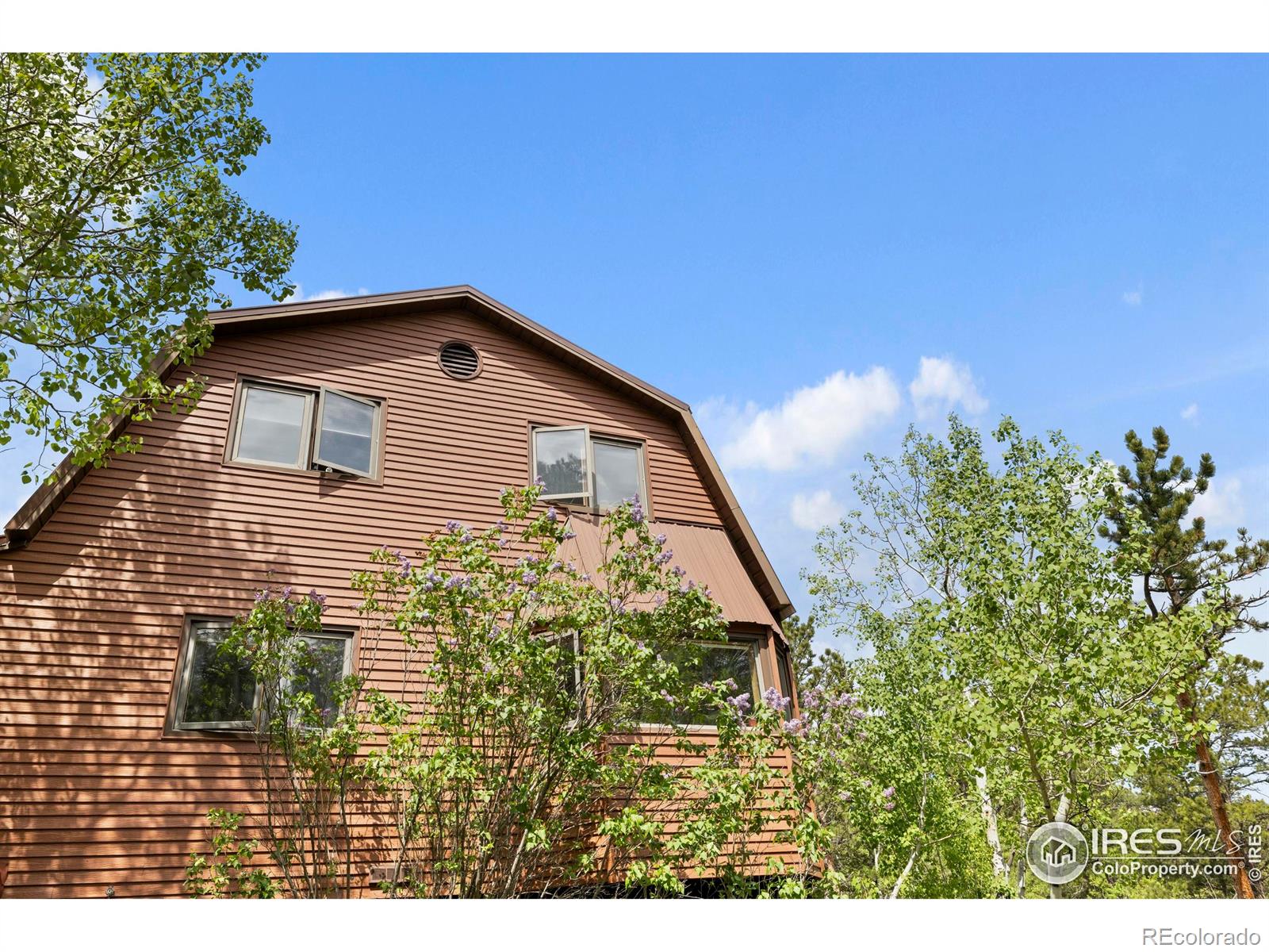 MLS Image #29 for 133  rockledge circle,allenspark, Colorado