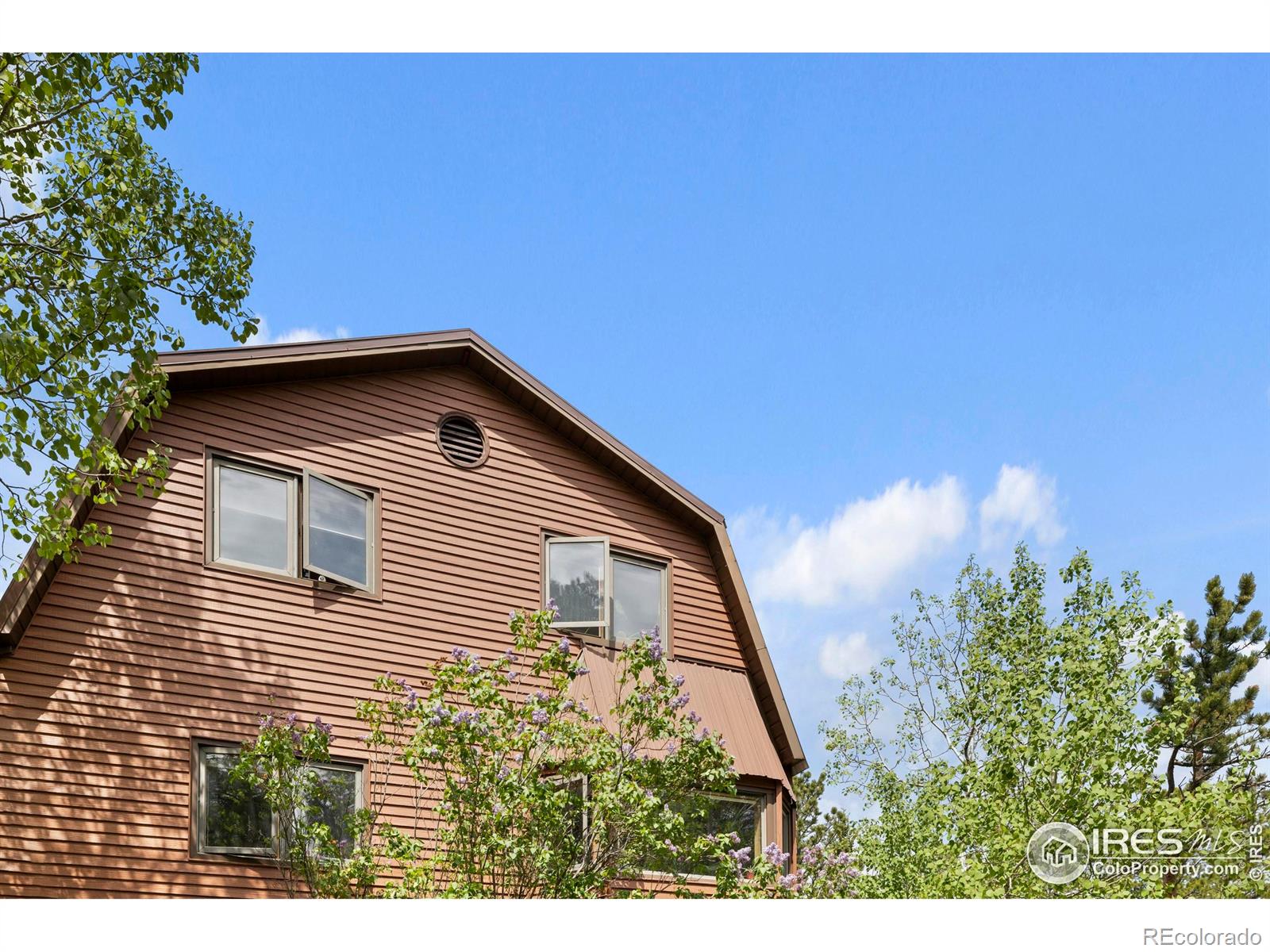 MLS Image #30 for 133  rockledge circle,allenspark, Colorado