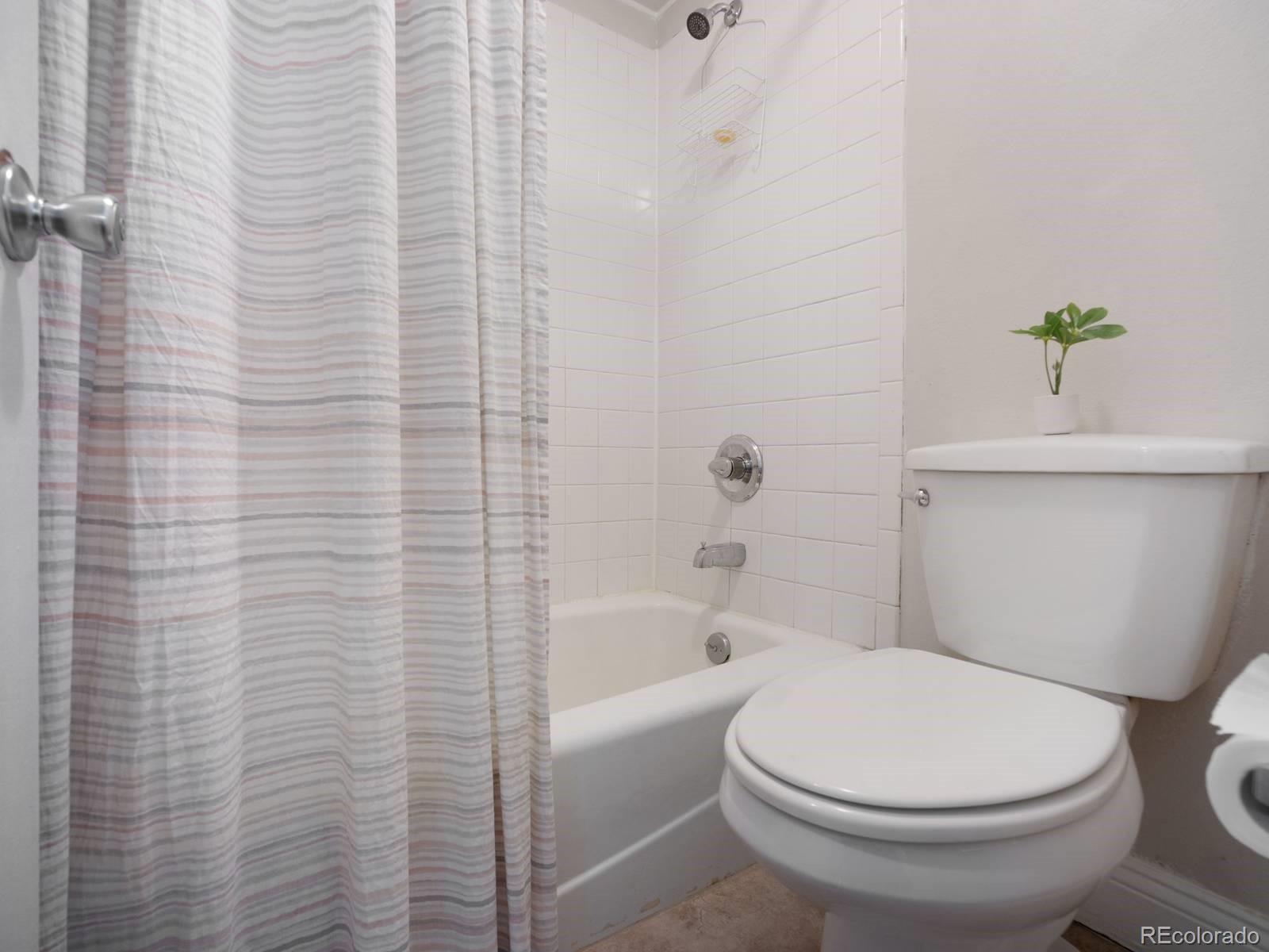 MLS Image #16 for 535  straight creek drive,dillon, Colorado