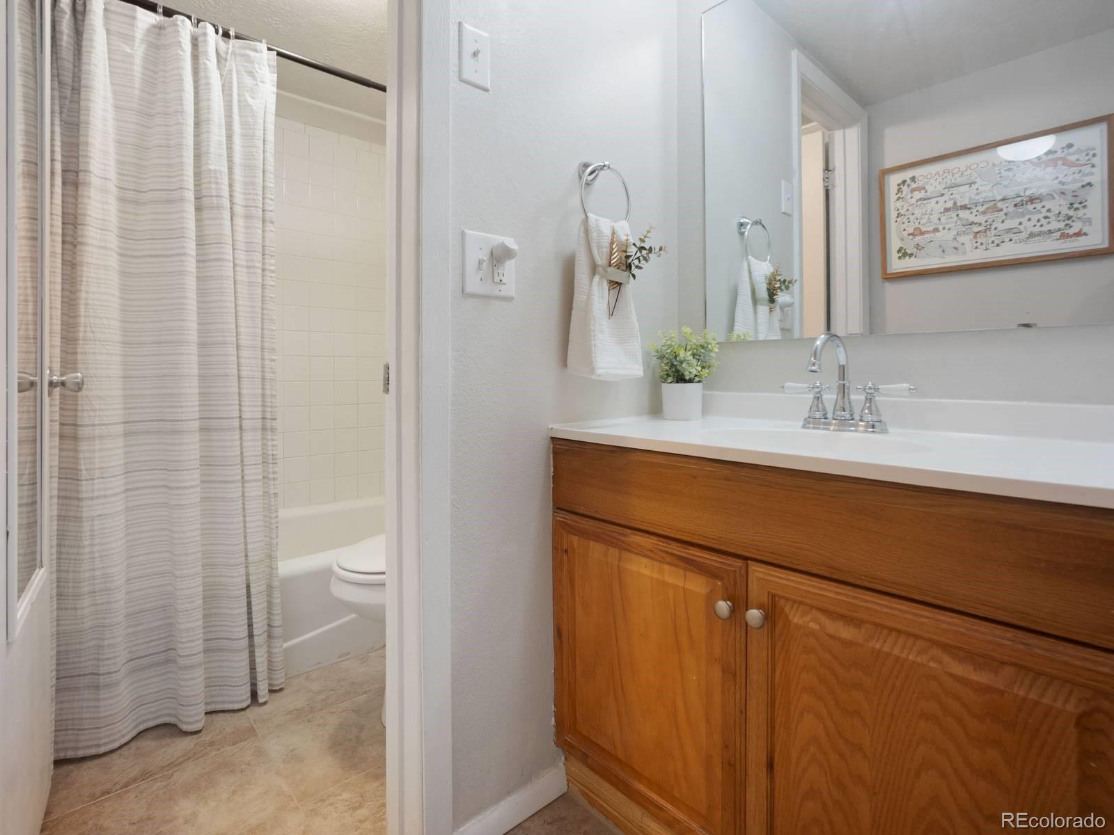 MLS Image #17 for 535  straight creek drive,dillon, Colorado