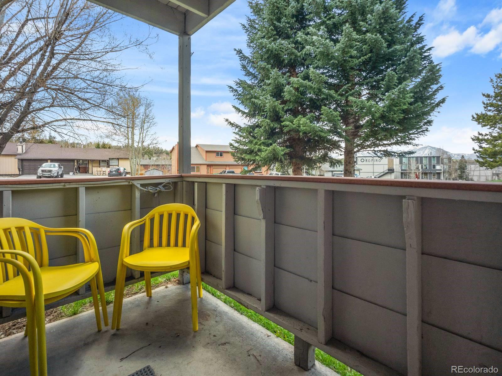 MLS Image #21 for 535  straight creek drive,dillon, Colorado