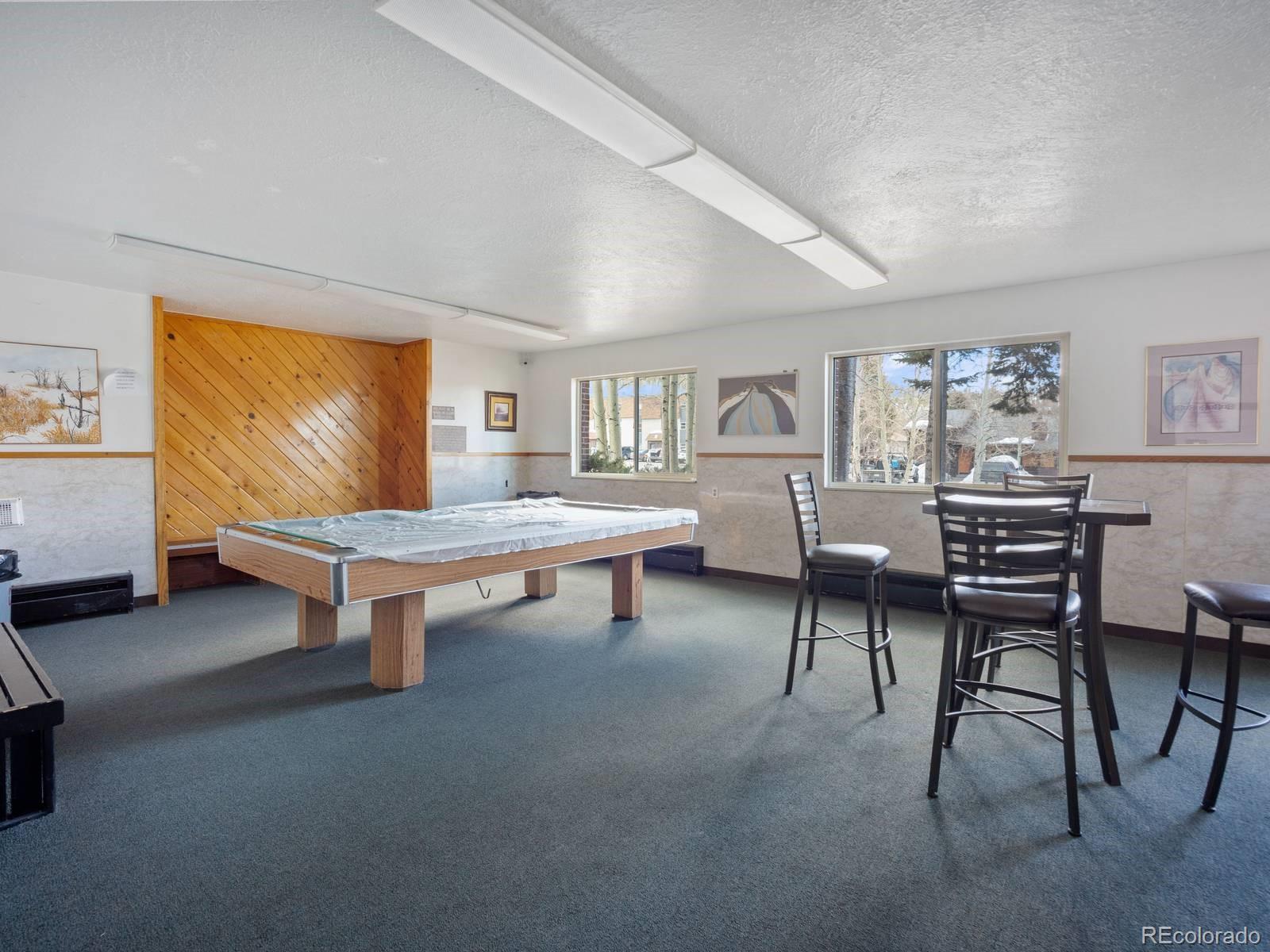 MLS Image #30 for 535  straight creek drive,dillon, Colorado
