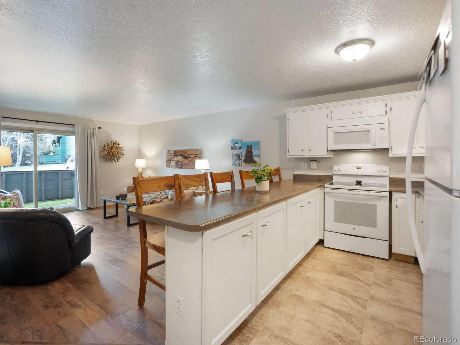 MLS Image #4 for 535  straight creek drive,dillon, Colorado