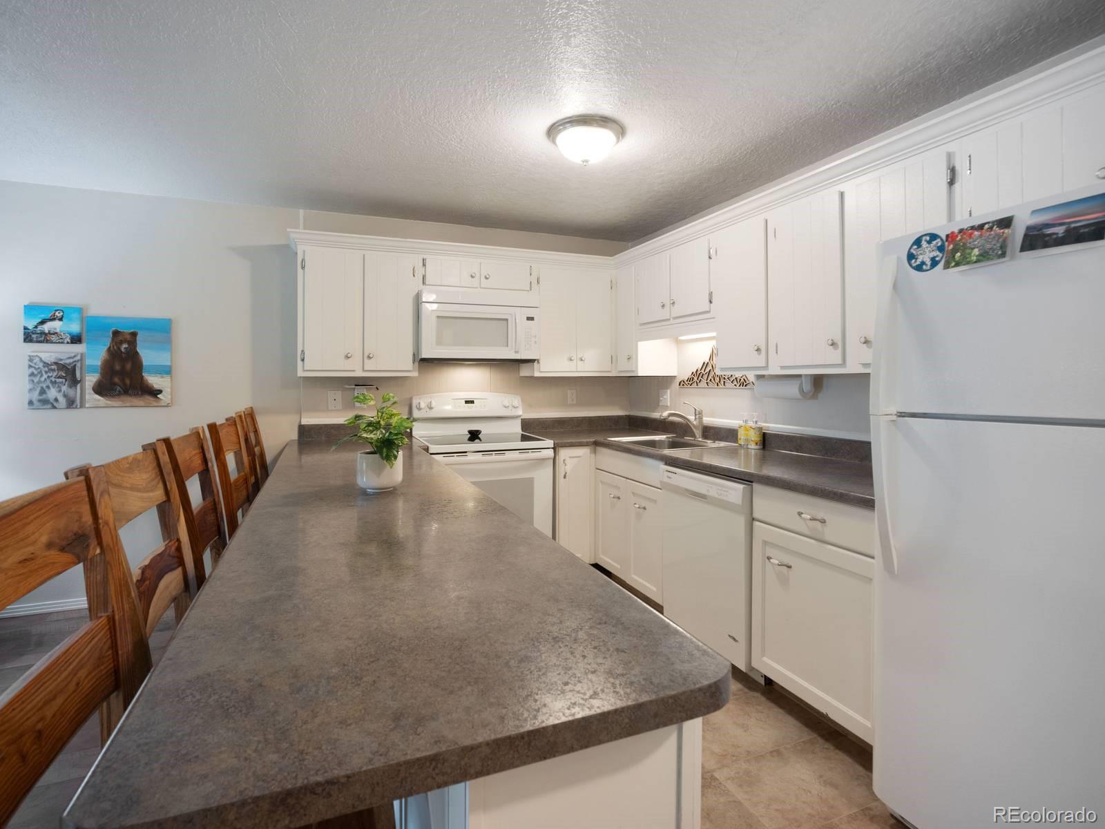 MLS Image #5 for 535  straight creek drive,dillon, Colorado