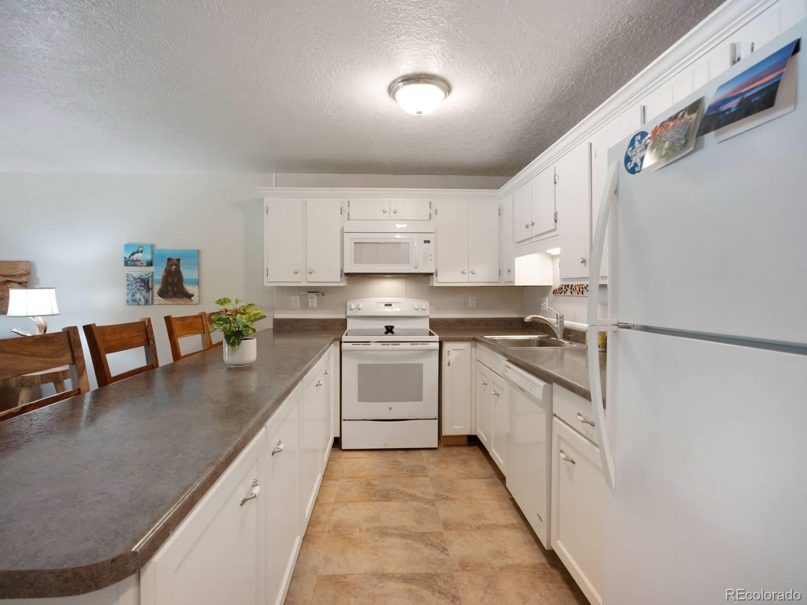 MLS Image #7 for 535  straight creek drive,dillon, Colorado