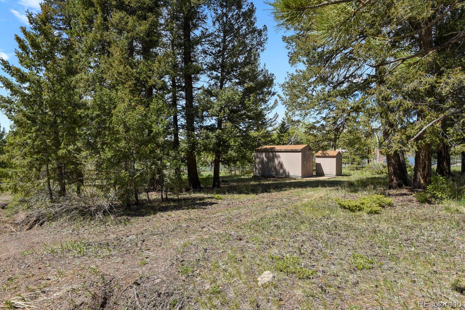 MLS Image #24 for 9359  barnes avenue,conifer, Colorado