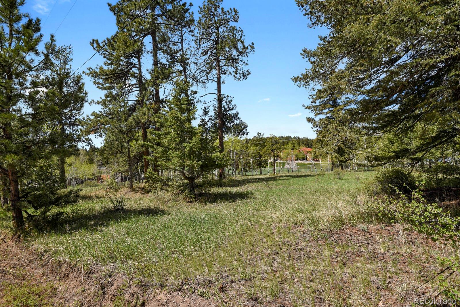 MLS Image #28 for 9359  barnes avenue,conifer, Colorado