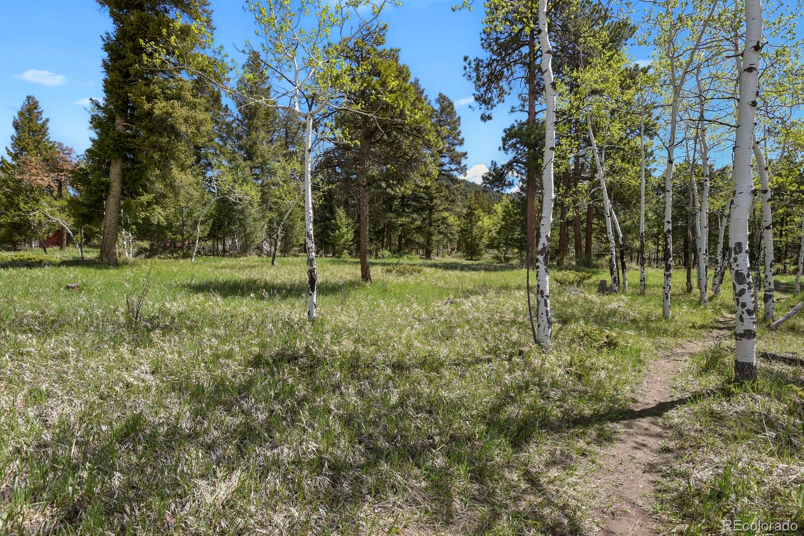MLS Image #29 for 9359  barnes avenue,conifer, Colorado