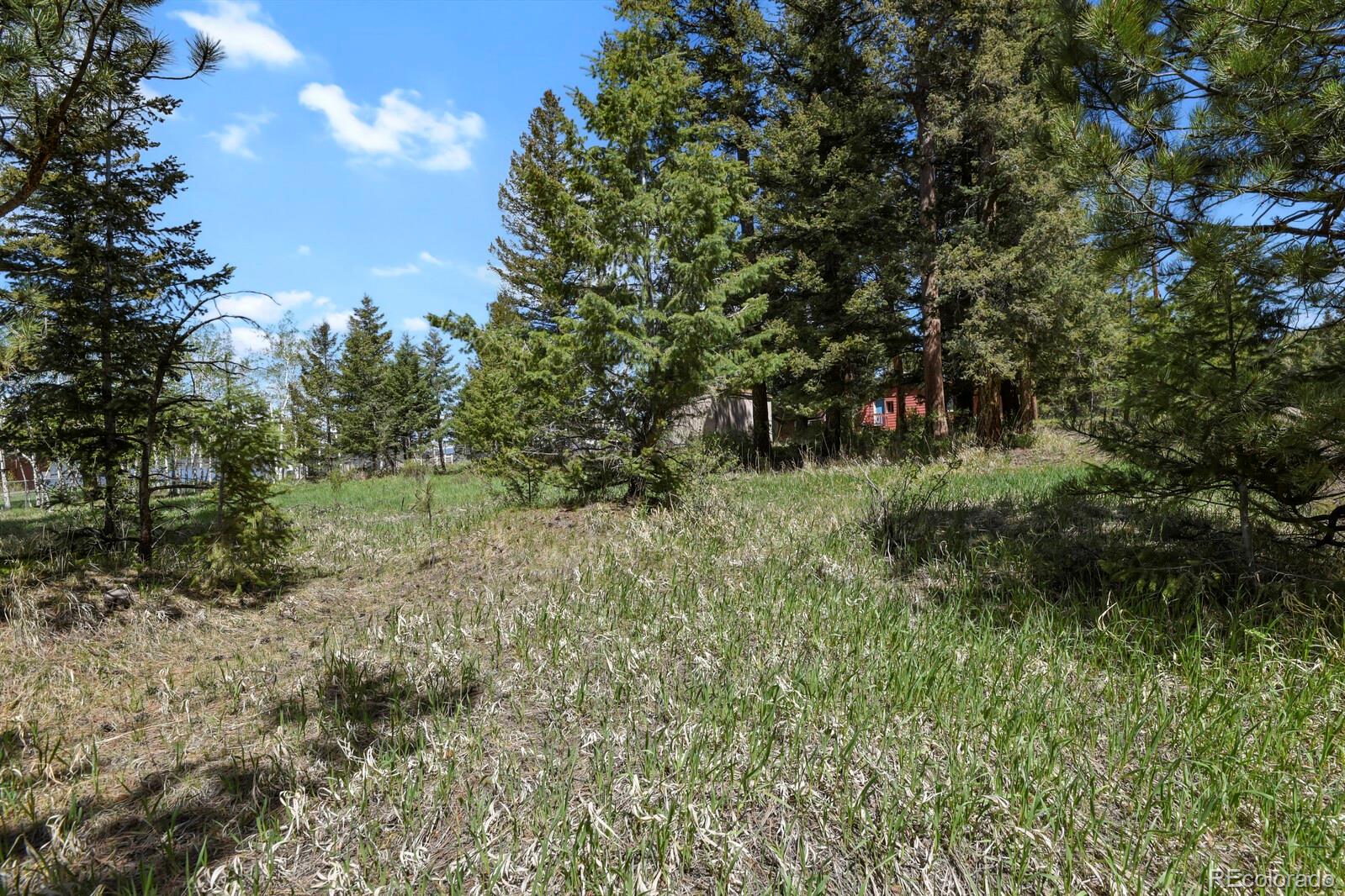 MLS Image #30 for 9359  barnes avenue,conifer, Colorado