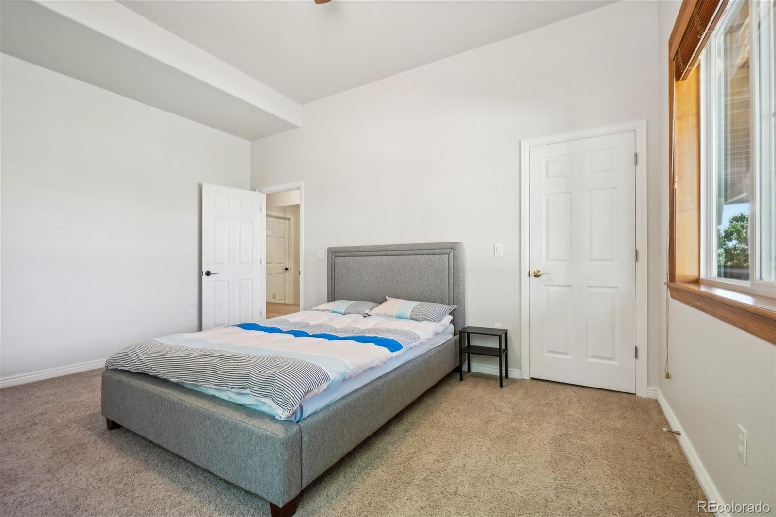 MLS Image #31 for 10441  carriage club drive,lone tree, Colorado