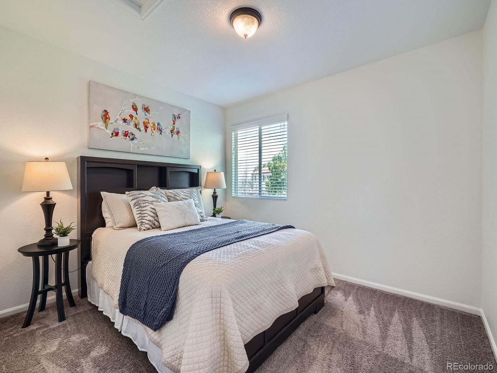 MLS Image #19 for 12653  jersey circle,thornton, Colorado