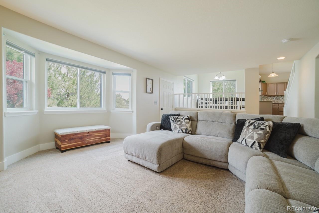 MLS Image #11 for 15389 e 99th way,commerce city, Colorado