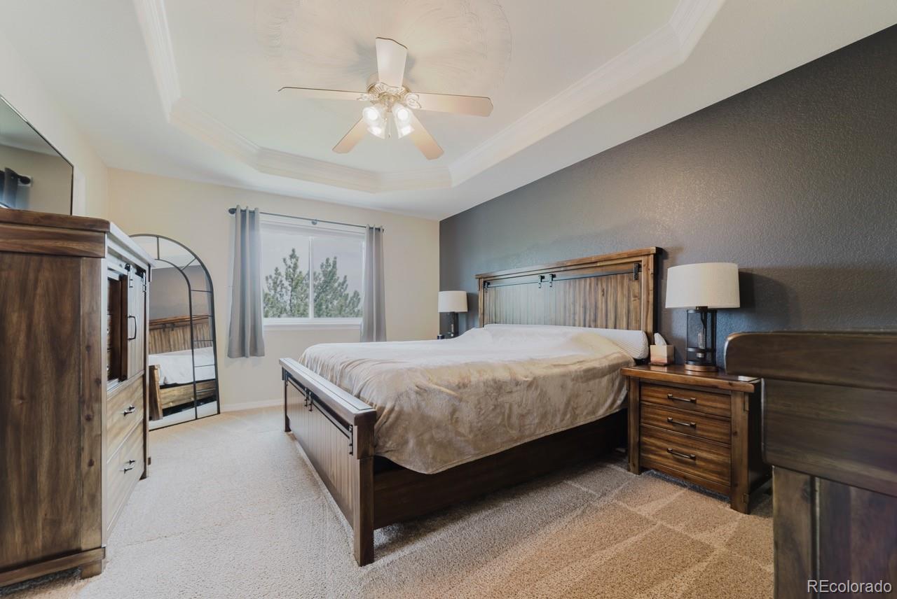 MLS Image #21 for 15389 e 99th way,commerce city, Colorado