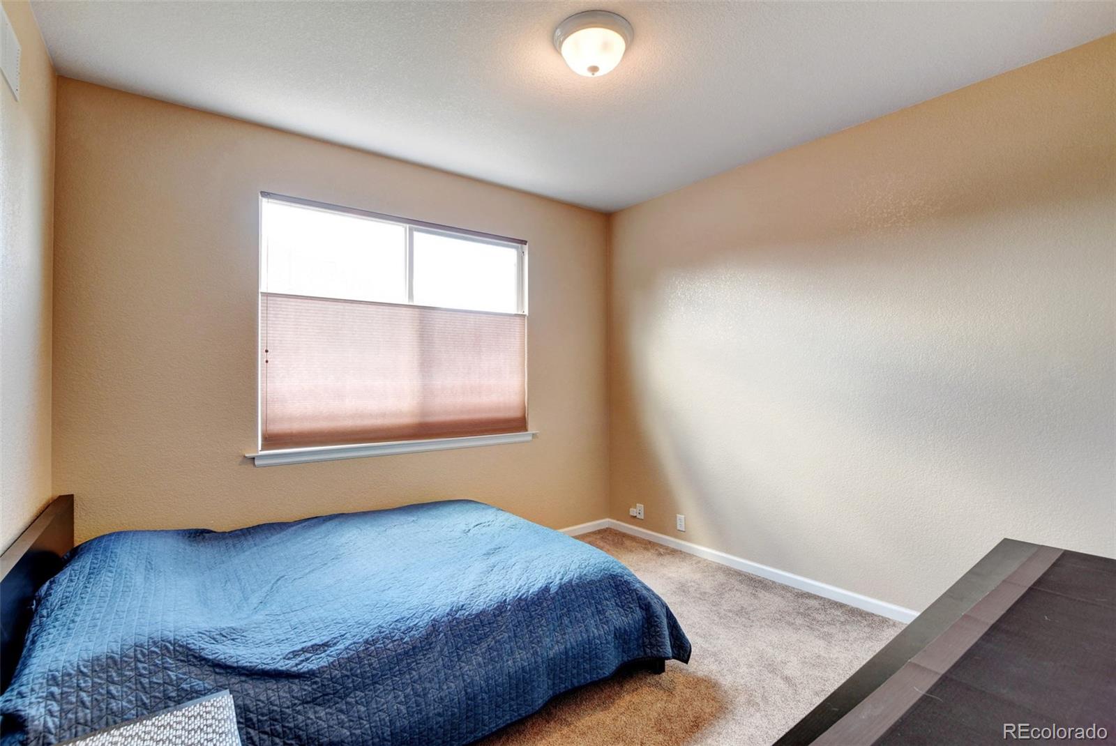 MLS Image #20 for 11951  singing winds street,parker, Colorado